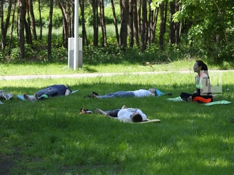 В Казани общественные территории обрабатывают от клещей
