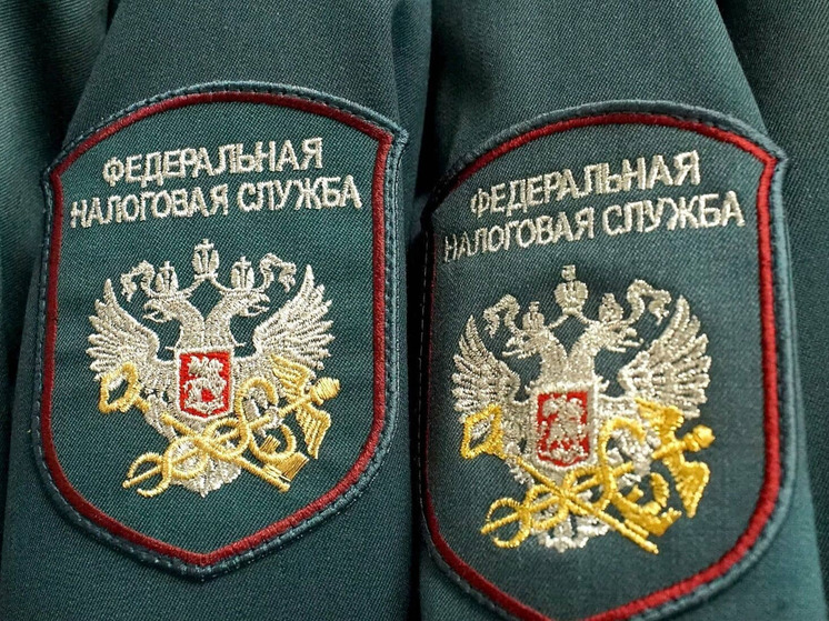 Орловчане подали 4,3 тыс. деклараций о доходах