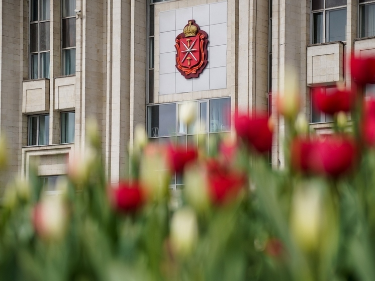 В Туле на улице Гоголевской на время ограничили движение