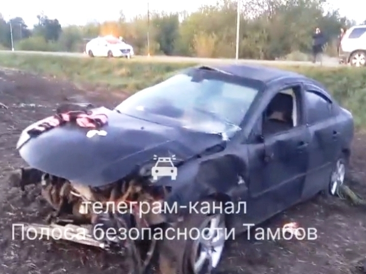 В Тамбовской области три человека пострадали в слетевшей с дороги иномарке