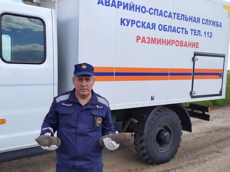 Под Понырями обезвредили два артснаряда времен ВОВ