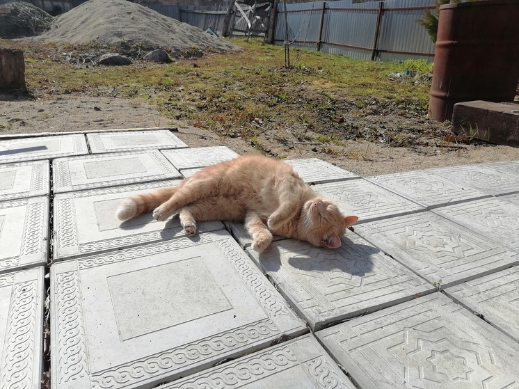 Воздух в Карелии 16 мая прогреется до +22 градусов