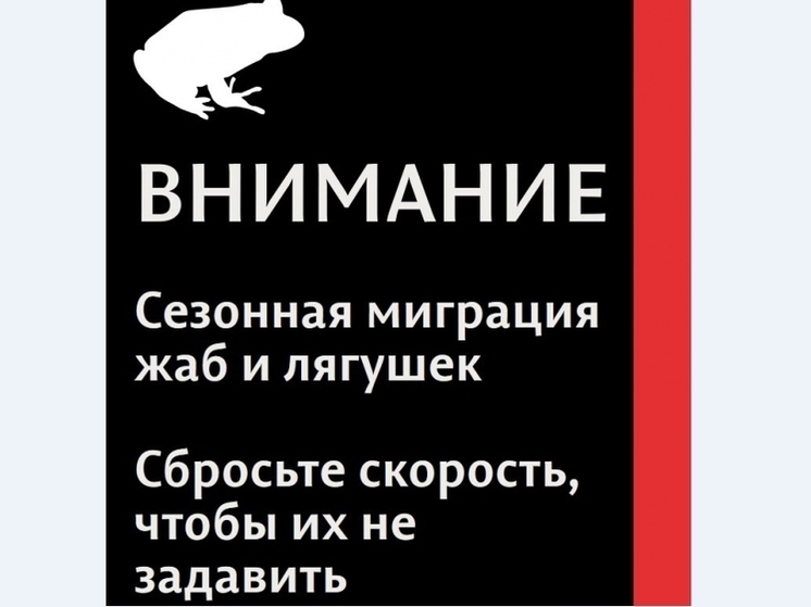 На ООПТ «Липовая Гора» пермяков предупредят о миграции серых жаб