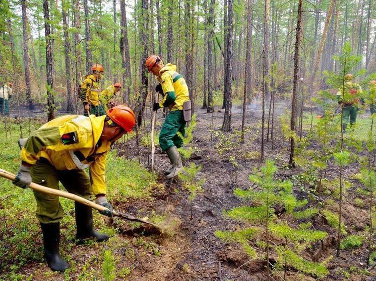 В Якутии ведется тушение лесного пожара на территории Ленского района