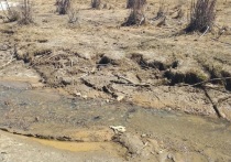 Специально созданная комиссия взяла пробы вод из якобы загрязненной золотодобытчиками реки Нерчи