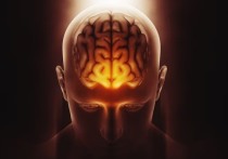 Открытие, которое способно бороться с опухолью мозга во время глубокого сна пациента, сделали ученые Саратовского госуниверситета.