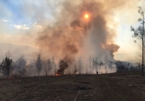 В Карымском районе действует крупный лесной пожар