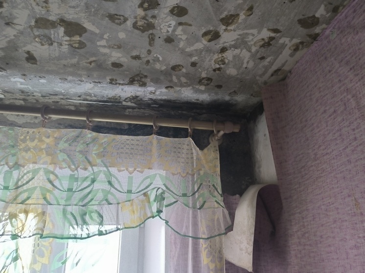Глава СК заинтересовался ужасными жилищными условиями многодетной семьи в Воронеже