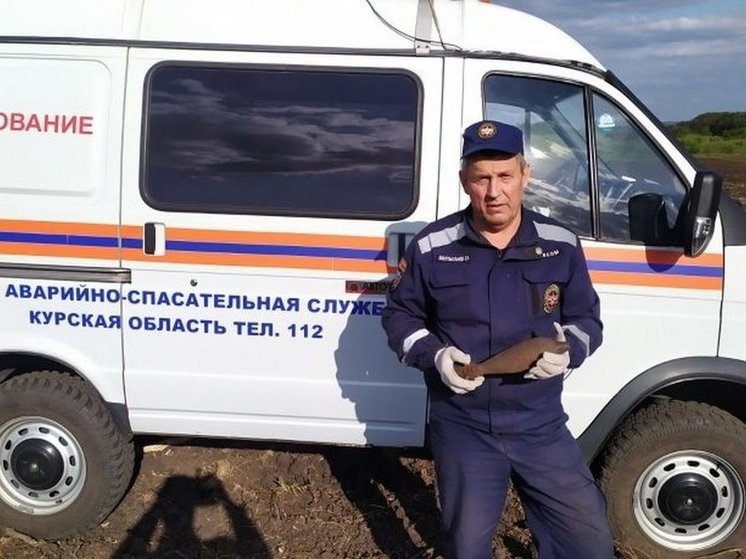 В курском селе Болото нашли мину