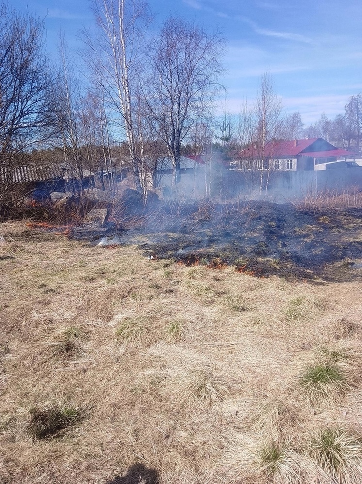 Страху натерпелись: Сухая трава полыхала в поселке Карелии