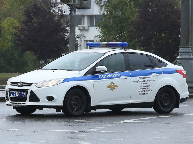 Мигранта задержали в московском парке при попытке закопать эмбрион