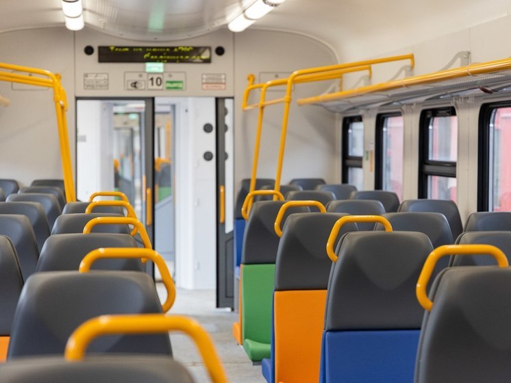 Жителям региона рассказали о необычных находках в поездах ЦППК в мае