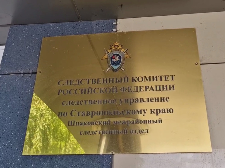 Житель Михайловска убил свою мать и неделю жил в квартире с ее телом