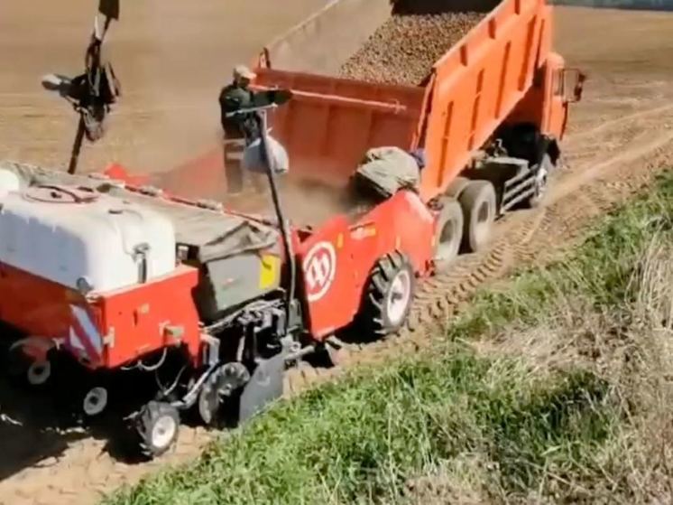 В хозяйстве «Приневское» начали сажать картофель