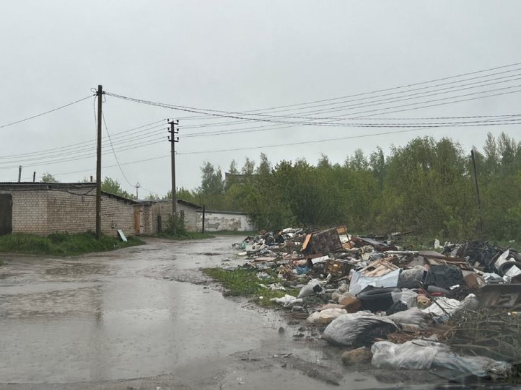Прокуратура требует ликвидировать незаконную свалку в Кораблинском районе