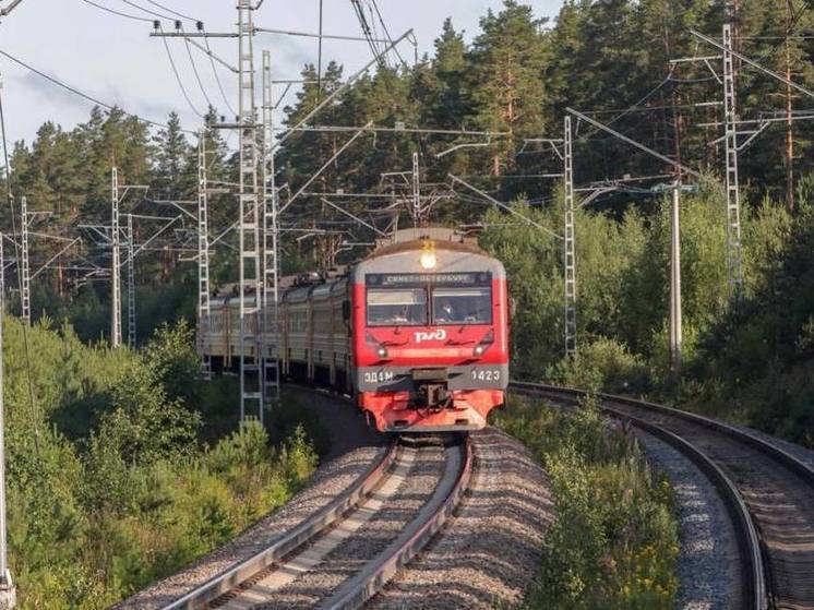 Пригородные электрички в Ленобласти перейдут на летний график с 26 мая
