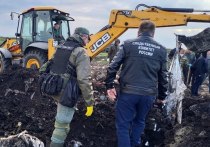 Обнаружено тело пропавшего в феврале рязанца Сергея Пинтелина