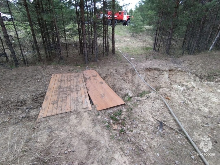 В Костромской области тушат первый в этом сезоне лесной пожар