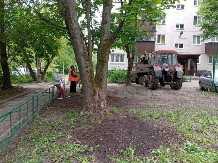В Курске дворы многоквартирных домов регулярно убирают 630 дворников