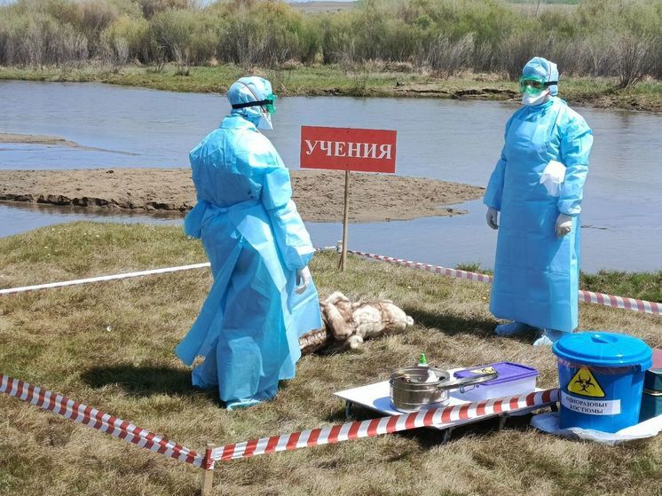 В Бурятии провели учения по ликвидации условного очага чумы