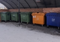Участница Жилищного форума Общественной палаты Забайкальского края из Борзи 17 мая возмутилась многочисленными сломанными контейнерами и площадками ненадлежащего вида мусорными площадками