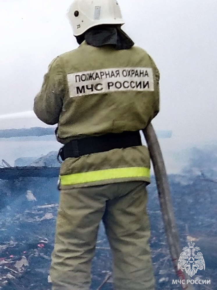 За сутки ярославские пожарные семь раз выезжали на мусорные возгорания