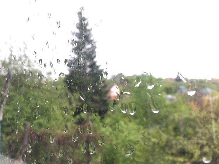 В Воронежскую область в выходные дни придет небольшой дождь