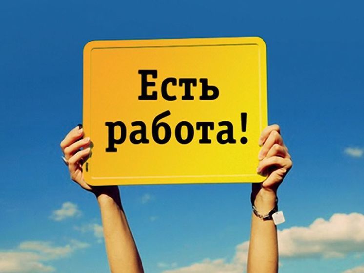 Подработка летом: какие есть вакансии во Владимирской области