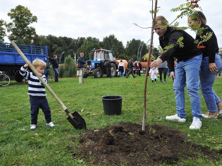 Власти Подмосковья проведут традиционную экологическую акцию «Лес будущего»