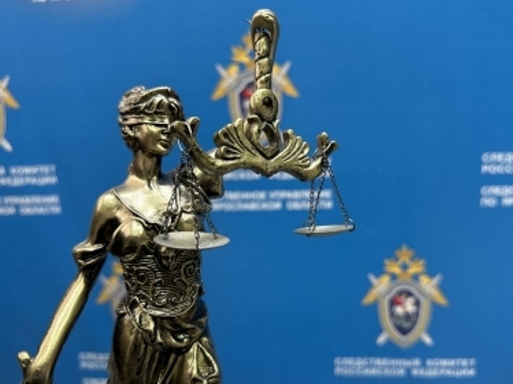 Шесть лет проведет за решеткой ярославец, убивший собутыльника ударами по голове