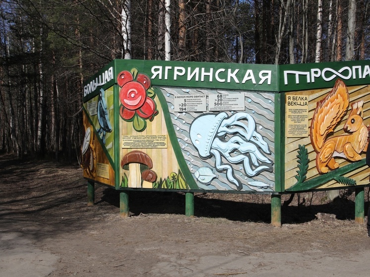 Работа северодвинского общества защиты Ягринского бора признана одной из лучших в стране