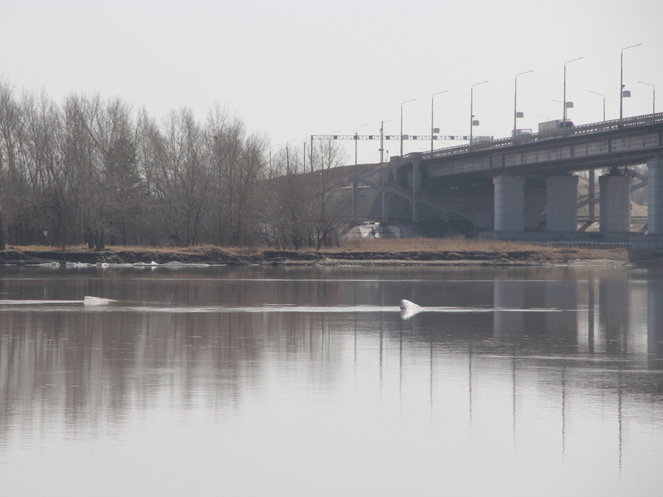 В Алтайском крае уровни воды в Оби и Катуни приближаются к критическим отметкам