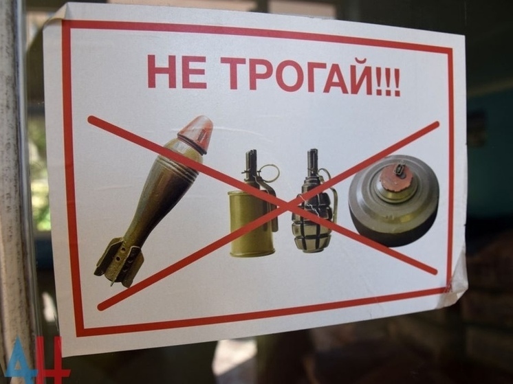 Под Ярцевом нашли две противотанковые гранаты времен войны