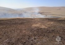 В Оловяннинском районе действует крупный ландшафтный пожар, который едва не сжег четыре чабанские стоянки