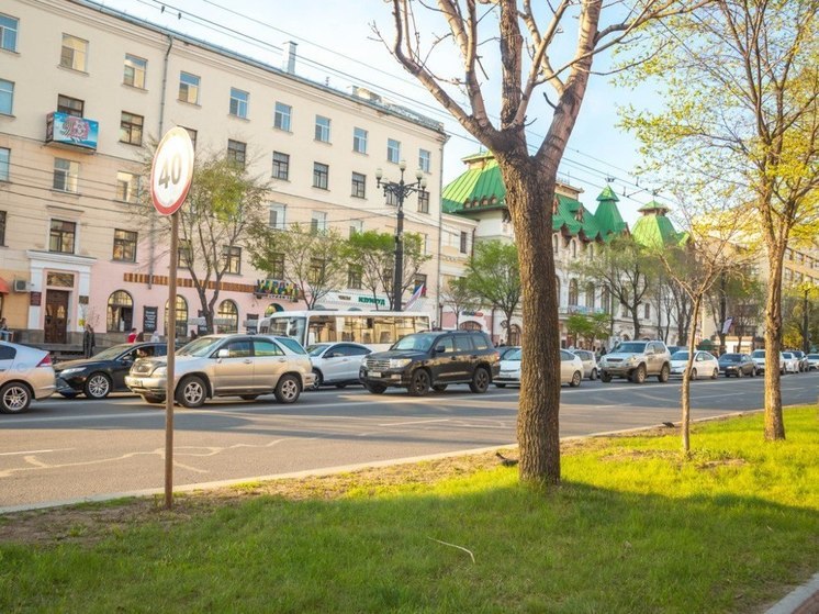 В Хабаровске ограничат движение в связи с проведением забега