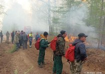 В трех районах Забайкалья больше двух суток не могут потушить лесные пожары