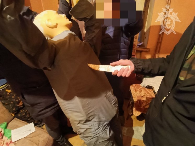 В Канаше задержан мужчина убивший старшего брата в ходе возникшей ссоры