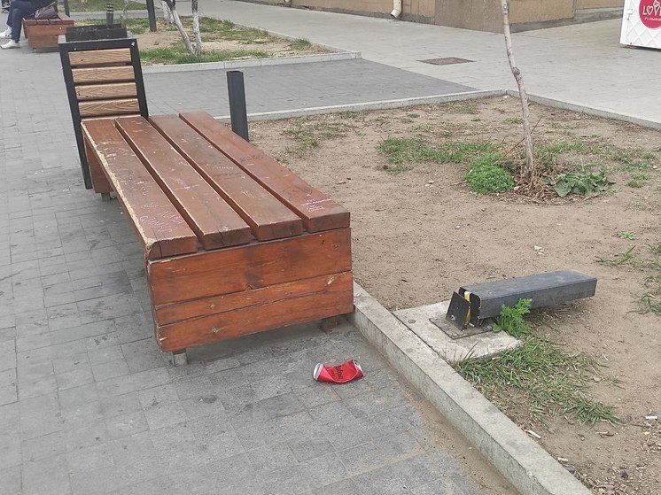 Глава КСП Забайкалья высказался о вандализме детей и яжматерях