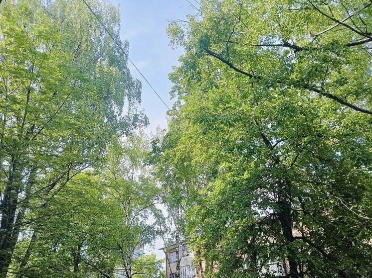 В выходные брянцам обещают 23-градусное тепло