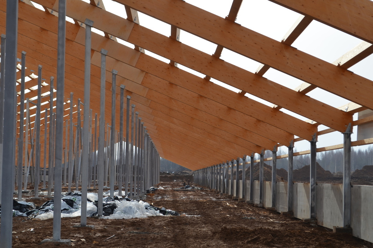 Деревянные конструкции Segezha Group используют при строительстве объектов животноводства Вологодской области