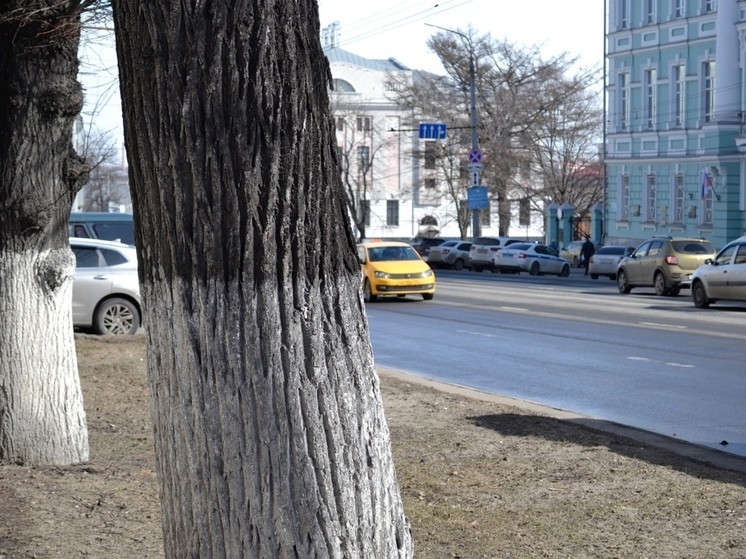 В Тульскую область придёт майское тепло на выходных