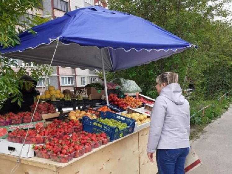 В Курске составили 13 протоколов по фактам незаконной торговли на пяти улицах
