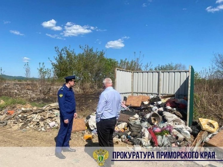 Главу муниципалитета в Приморье наказали за невывоз мусора