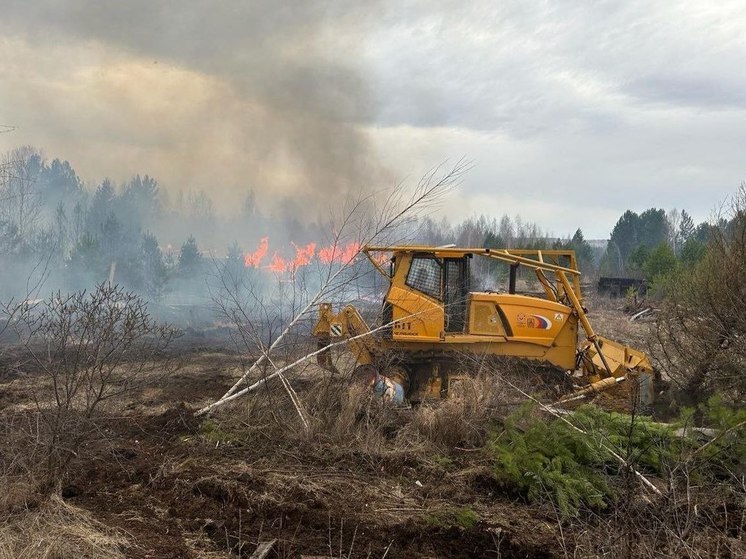 Шесть пожаров потушили за сутки в лесах Приангарья