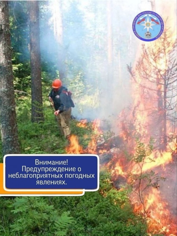 С начала года в Новгородской области зарегистрирован уже 51 случай выжигания сухой травы, сообщает МЧС