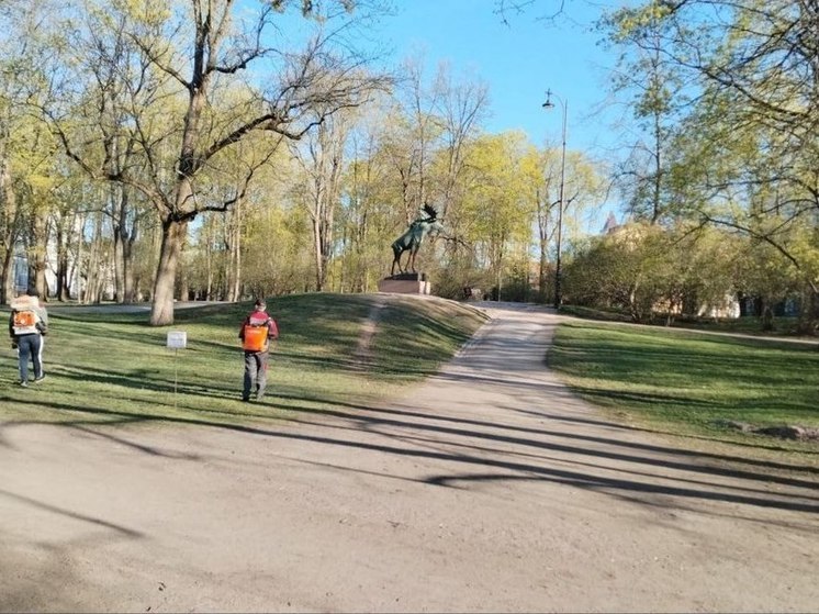 Парки и скверы Выборга начали обрабатывать в клещей