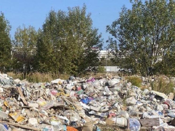В Ленинском будут судить бизнесменов за незаконную свалку