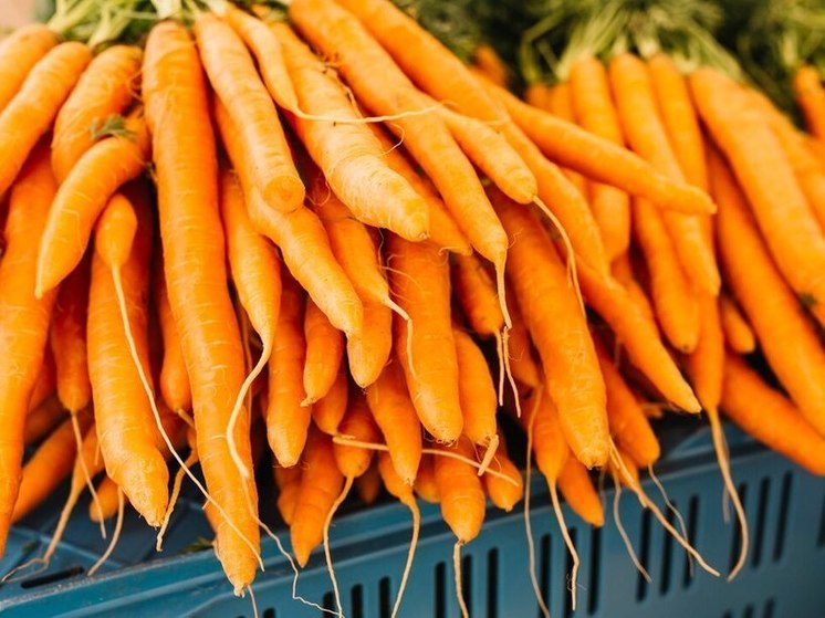 Пензенцы узнали, кому нельзя есть морковь