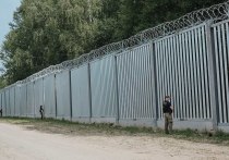 Государственный пограничный комитет Белоруссии заявил, что белорусские пограничники нашли на территории страны пятерых граждан Сомали, которые были избиты польскими силовиками