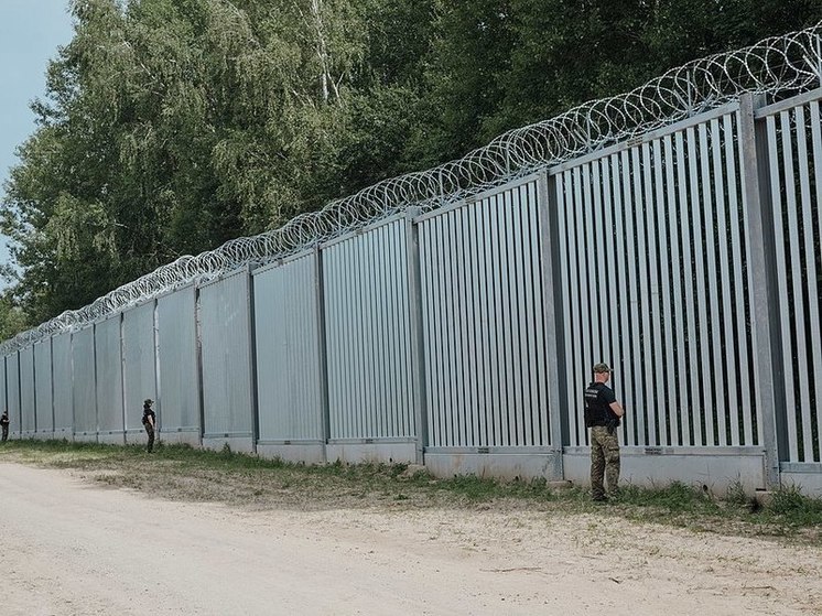 Минск сообщил об избитых мигрантах, выброшенных польскими пограничниками на территорию Белоруссии